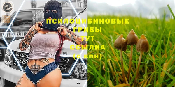 альфа пвп Верхний Тагил