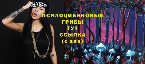 прущие грибы Бугульма